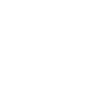 Hope Reins Raleigh