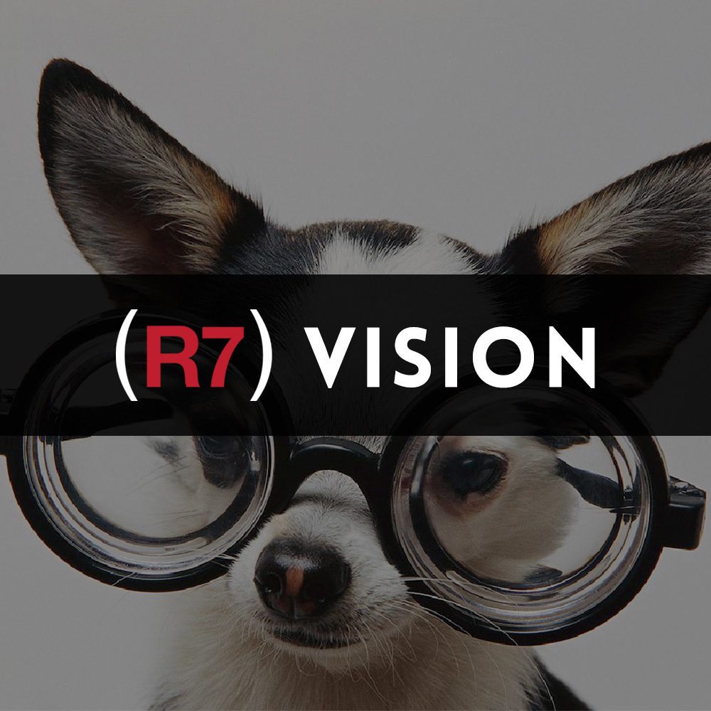 vision statement examples