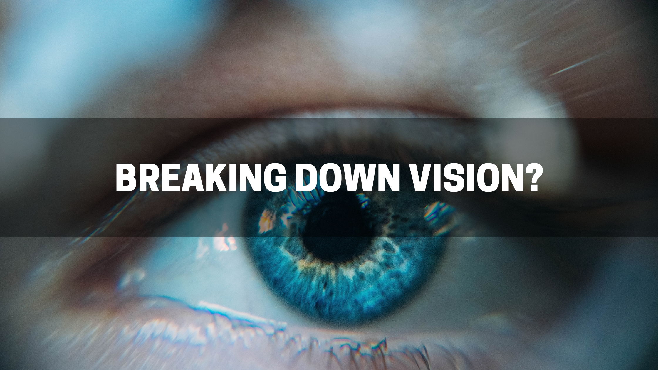 Breaking Down Vision